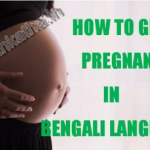 How To Get Pregnant In Bengali Language