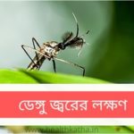 ডেঙ্গু জ্বরের লক্ষণ