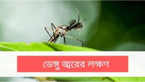 ডেঙ্গু জ্বরের লক্ষণ