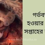 গর্ভবতী হওয়ার প্রথম সপ্তাহের লক্ষণ