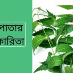 নিম পাতার উপকারিতা