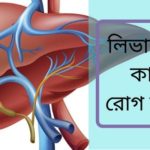 লিভার