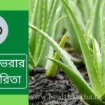 অ্যালোভেরার উপকারিতা