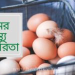 ডিমের উপকারিতা