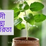 তুলসী পাতার উপকারিতা