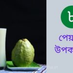 পেয়ারার উপকারিতা