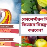 কোলেস্টরল