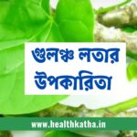 Gulancha Lata Benefits in Bengali